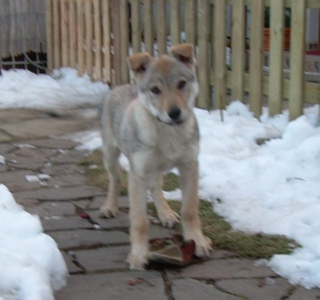 DSCN4721.JPG