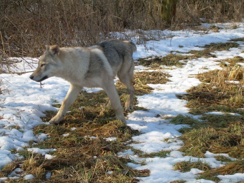 DSCN5092.JPG