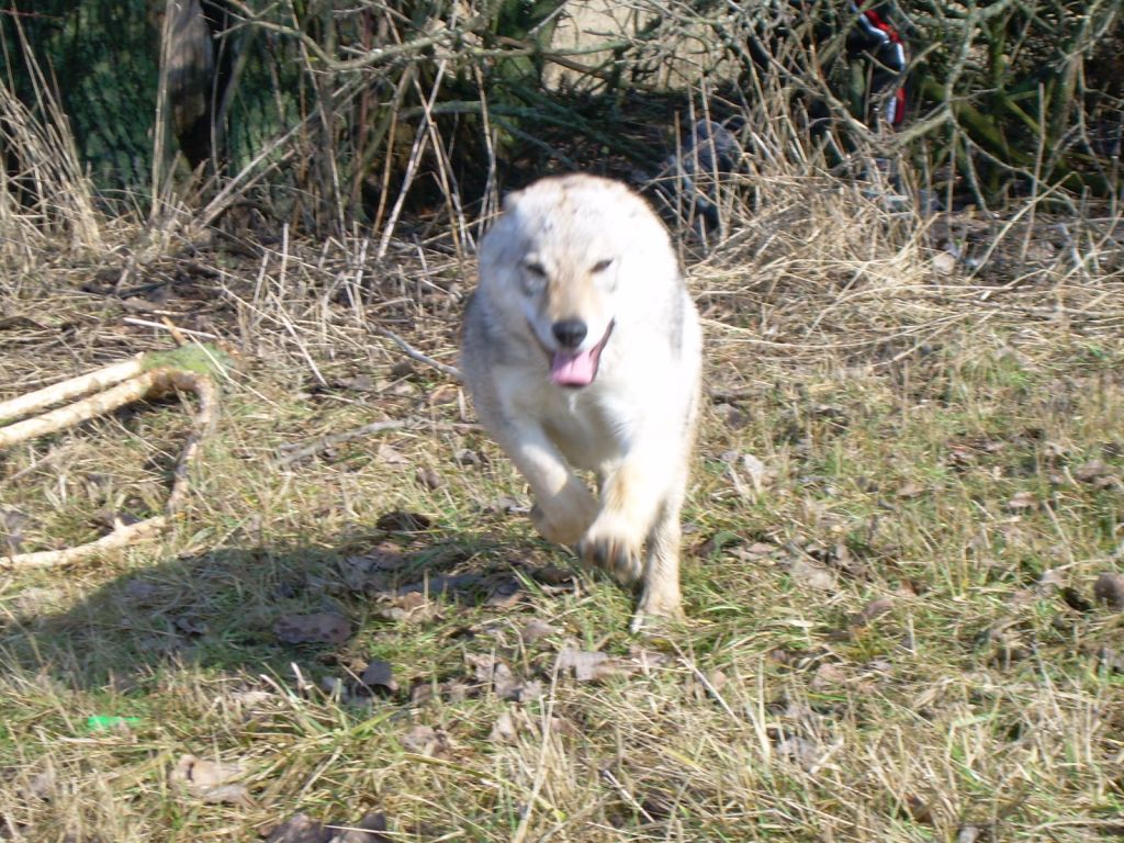DSCN5102.JPG